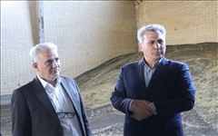 تولید نیمی از کلزای استان در شهرستان بیله سوار/مرغوبترین عدس کشور در بیله سوار تولید می شود.